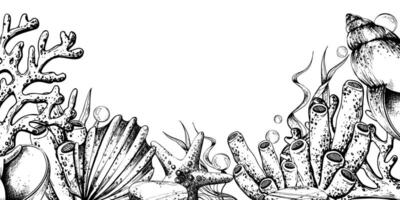 Corals, sea sponges, seaweed, shells, starfish and bubbles. Hand drawn graphic illustration in black and white color line art. Frame template horizontal for text on marine theme vector