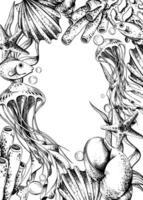 Jellyfish, corals, sea sponges, algae, shells, starfish and bubbles. Hand drawn graphic illustration in black and white color line art. Frame template vertical for text on marine theme vector