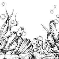 Seahorse, jellyfish, seashell, coral, starfish, sea sponge, algae, pebbles and bubbles. Hand drawn graphic illustration in black and white color line art. Frame template for text on marine sea theme vector
