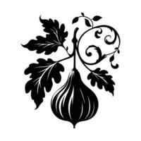 Artistic Fig Line Drawing vector