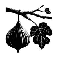 Minimalist Fig Fruit Icon Set vector