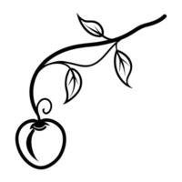 Ripe Peach with Slice Line Art vector