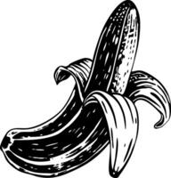 A banana illustration in vintage style vector