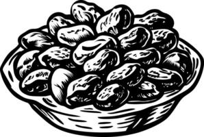 A hand drawn style illustration of candied nuts vector