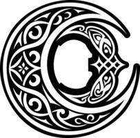 A celtic crescent with an ornate design vector