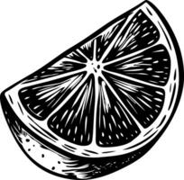 A sketchy style illustration of lemon slice vector
