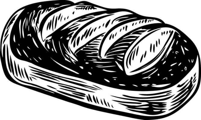 A vintage style illustration of sourdough loaf