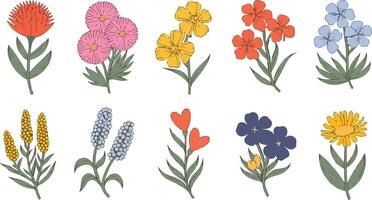 decorative floral motif in diverse palettes vector
