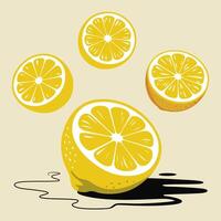 Bright yellow lemon slices and a lemon with shadow vector