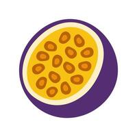 A purple and yellow fruit with a lot of seeds. It is a pomegranate. The fruit is cut in half and the seeds are visible vector