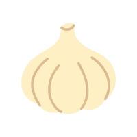 A white and yellow garlic bulb with a pointed top. vector