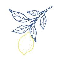 A drawing of a lemon with a leaf on it. The leaf is blue and the lemon is yellow vector