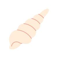 A shell is shown in a light pink color. The shell is drawn in a cartoon style and is placed on a white background vector