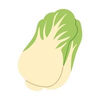 A cartoonish drawing of a head of lettuce. The lettuce is green and white. The lettuce is cut in half and the white part is visible vector