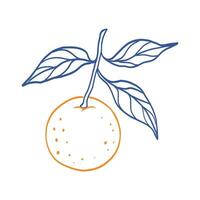 A drawing of an orange with a leaf on top. The orange is bright orange and the leaf is a deep blue color. The drawing has a playful and whimsical feel to it vector