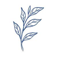 A blue leaf with a white background. The leaf is drawn in a stylized way vector