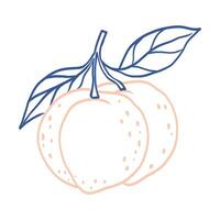 A drawing of a peach with a leaf on it. The peach is pink and the leaf is blue vector