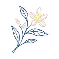 A flower with blue leaves and pink petals. The flower is in the center of the image vector