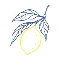 A drawing of a lemon with a leaf on it. The drawing is blue and yellow. The lemon is shown in a stylized way, with the leaf and stem also drawn in a stylized way vector