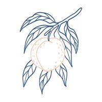 A blue and pink drawing of a peach with a leaf. The peach is shown in the center of the image, with the leaf surrounding it. The drawing has a whimsical and playful feel to it, with the bright colors vector