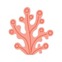 A red and white drawing of a coral plant. The drawing is of a coral plant with many small dots on it vector