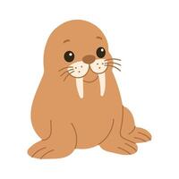 A cute cartoon seal with a long white tusk. The seal is sitting on its haunches and looking at the camera vector