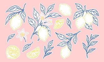 A series of blue and yellow drawings of lemons and leaves. The lemons are scattered throughout the image, with some in the foreground and others in the background vector