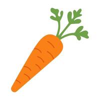 A carrot is shown in a cartoon style with a green leaf on top. The carrot is orange and has a long, thin shape vector