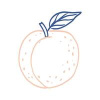 A peach with a leaf on it. The peach is pink and the leaf is blue. The image has a cute and playful feel to it vector