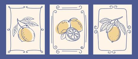 Set of hand drawn lemon posters. Set of botanical art prints with lemons. Ink sketch. Vintage Italian summer illustrations for cafe or restaurant menu. vector