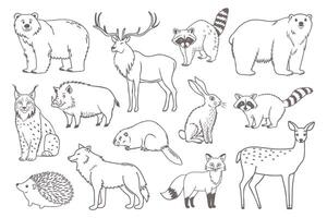 Collection of forest animals in outline style. Set of hand drawn forest animals. vector