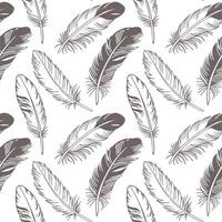 Seamless pattern with hand drawn elegant feathers. Illustration vector