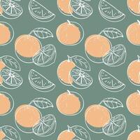 Oranges and slices with leaves seamless pattern. Hand drawn citrus outline on green background. Illustration. vector
