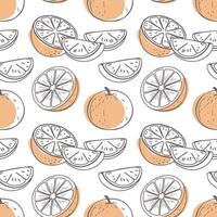 Oranges and slices with leaves seamless pattern. Hand drawn citrus outline on white background. Illustration. vector