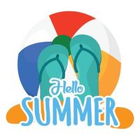 Flip flops and beach ball. vector