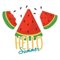 Watermelon slices and text. vector