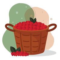 Basket full of cherries. vector