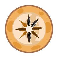 Sapodilla naseberry Jamaican fruit slice vector