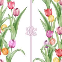 Watercolor style tulip and ribbon seamless pattern isolated on white background. vector