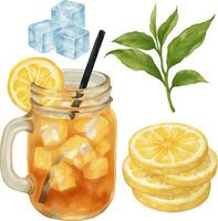 Watercolor ice lemon tea set clip art. A pack of freshness moment with ice cubes, lemon slices, tea leaves and a glass of ice lemon tea illustration. vector