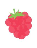 Illustration art abstract red grape vector