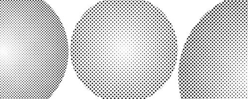 Overlapping circles feature a halftone gradient effect, transitioning from solid black to white. vector