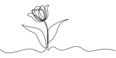 Tulip continuous one line drawing.Flower one line.Abstract flower continuous line. Minimalist contour drawing of tulip.Hand drawn sketch of flower with leaves. vector