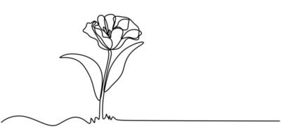 Continuous one line drawing of flower tulip.Tulip one line drawing.Abstract flower continuous line.Single line drawing of tulip. vector