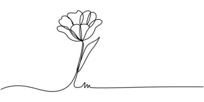 Tulip one line drawing.Abstract flower continuous line, minimalist contour drawing of tulip vector