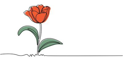 Minimalist contour drawing of tulip continuous one line drawing of flower tulip.Hand drawn sketch of flower with leaves. vector