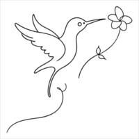 Hummingbird feeding from a flower in continuous line art, showcasing the delicate movement of nature through a minimalist design vector