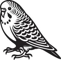 Budgie Sketch Illustration. vector