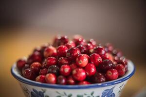 A bowl of cranberries sits on a table photo