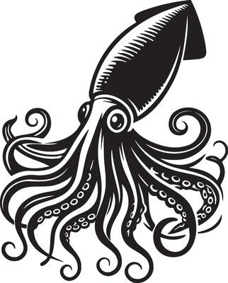 Squid Sketch Illustration.
